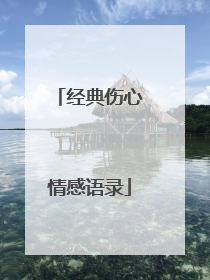 经典伤心情感语录