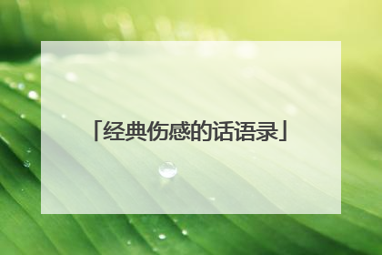 经典伤感的话语录