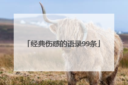 经典伤感的语录99条