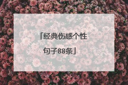 经典伤感个性句子88条