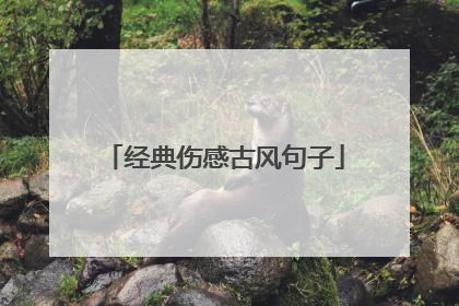 经典伤感古风句子