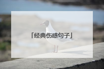 经典伤感句子