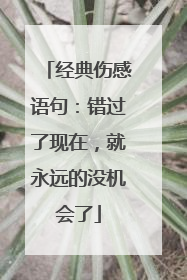 经典伤感语句：错过了现在，就永远的没机会了