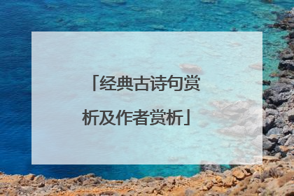 经典古诗句赏析及作者赏析