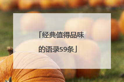 经典值得品味的语录59条