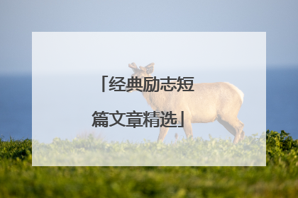 经典励志短篇文章精选