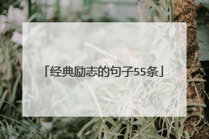 经典励志的句子55条