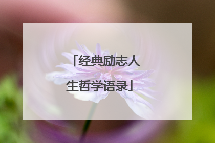 经典励志人生哲学语录