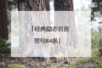 经典励志名言警句84条