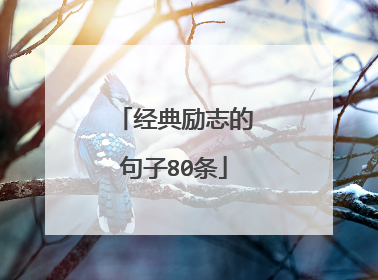 经典励志的句子80条