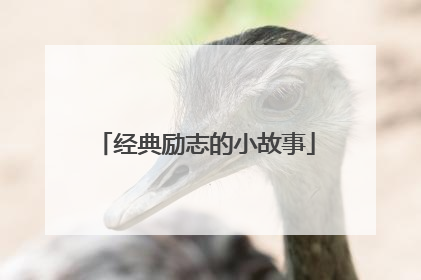 经典励志的小故事