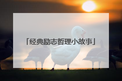 经典励志哲理小故事