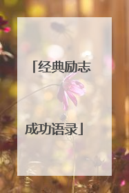 经典励志成功语录