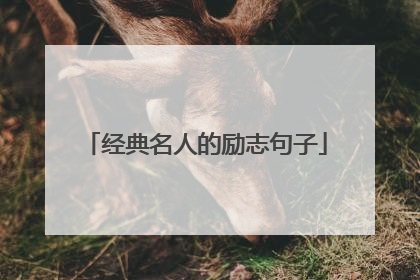 经典名人的励志句子