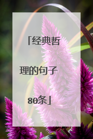 经典哲理的句子80条
