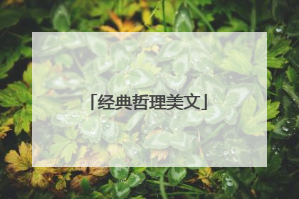 经典哲理美文
