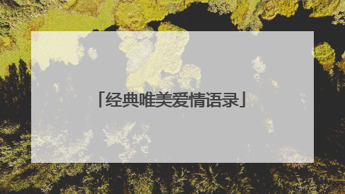 经典唯美爱情语录