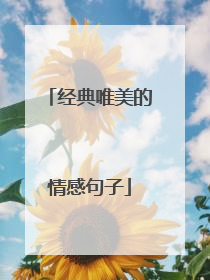经典唯美的情感句子