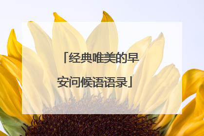 经典唯美的早安问候语语录