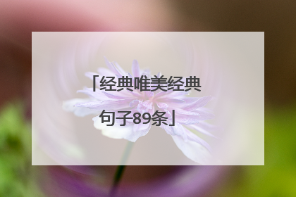 经典唯美经典句子89条
