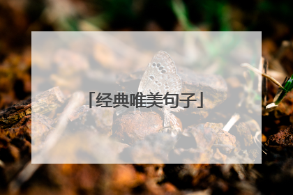 经典唯美句子