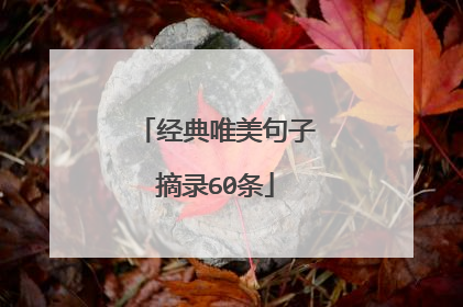 经典唯美句子摘录60条