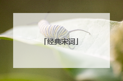 经典宋词