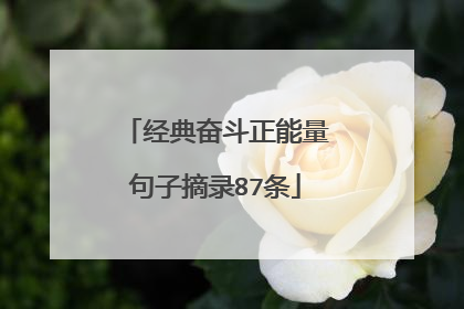 经典奋斗正能量句子摘录87条