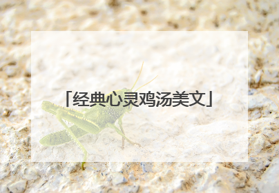 经典心灵鸡汤美文