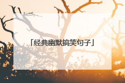 经典幽默搞笑句子