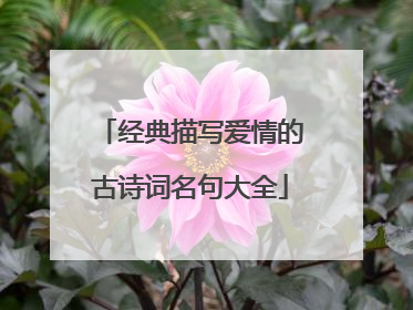 经典描写爱情的古诗词名句大全