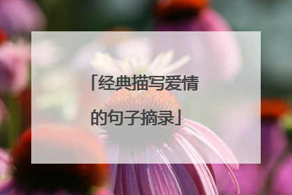 经典描写爱情的句子摘录