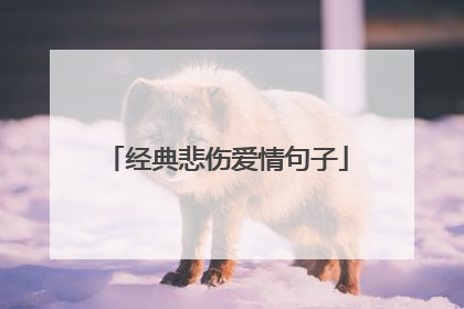 经典悲伤爱情句子
