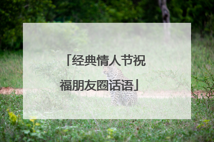 经典情人节祝福朋友圈话语