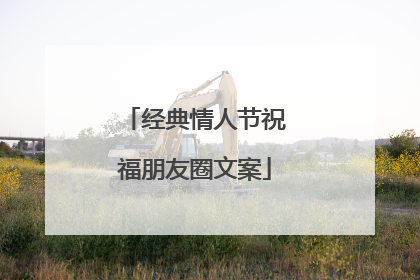 经典情人节祝福朋友圈文案