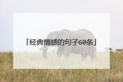 经典情感的句子60条