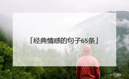 经典情感的句子65条