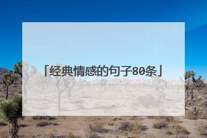 经典情感的句子80条