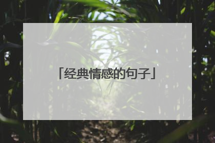 经典情感的句子