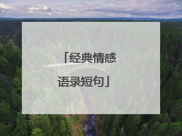 经典情感语录短句
