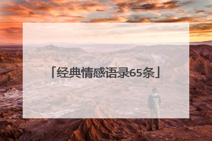 经典情感语录65条