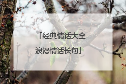 经典情话大全浪漫情话长句