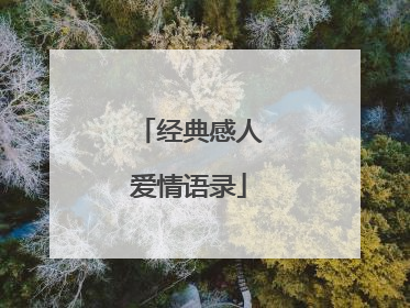 经典感人爱情语录