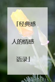 经典感人的情感语录