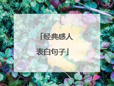 经典感人表白句子