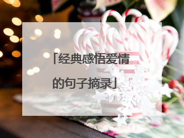 经典感悟爱情的句子摘录