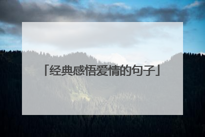 经典感悟爱情的句子
