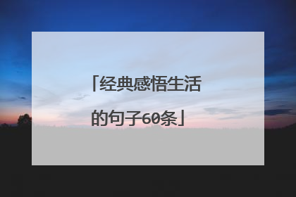 经典感悟生活的句子60条
