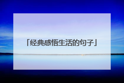 经典感悟生活的句子