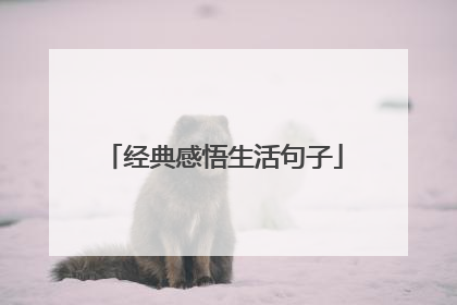 经典感悟生活句子